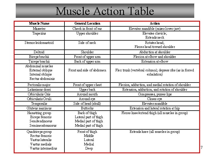 Muscle Action Table Muscle Name Masseter Trapezius General Location Cheek in front of ear