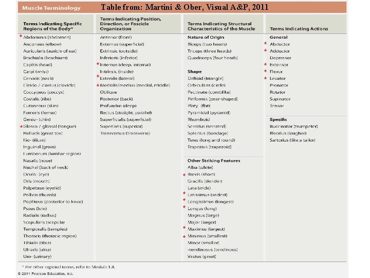 Table from: Martini & Ober, Visual A&P, 2011 * * * * 