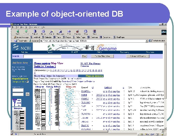 Example of object-oriented DB 