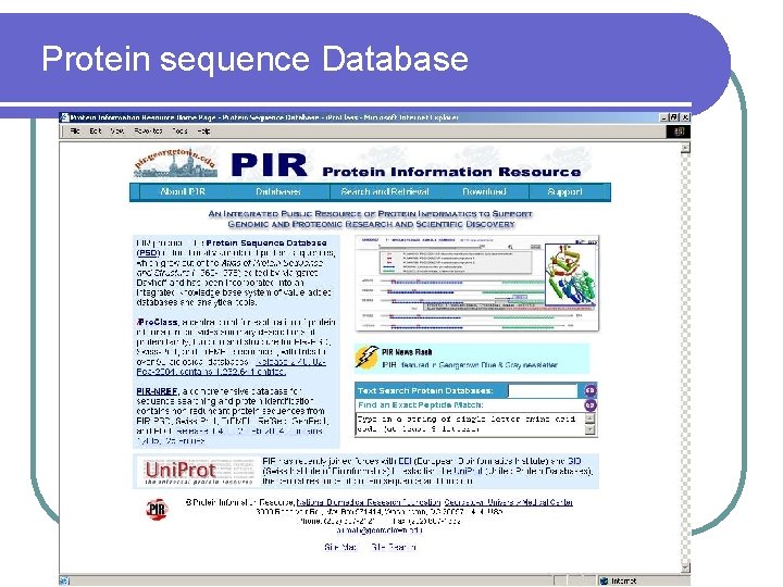 Protein sequence Database 