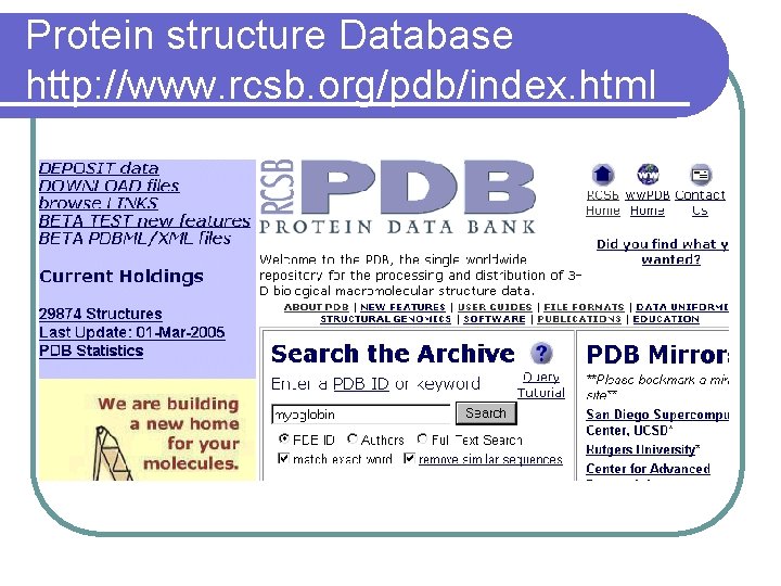 Protein structure Database http: //www. rcsb. org/pdb/index. html 