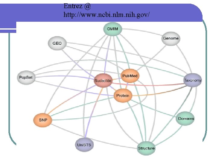 Entrez @ http: //www. ncbi. nlm. nih. gov/ 