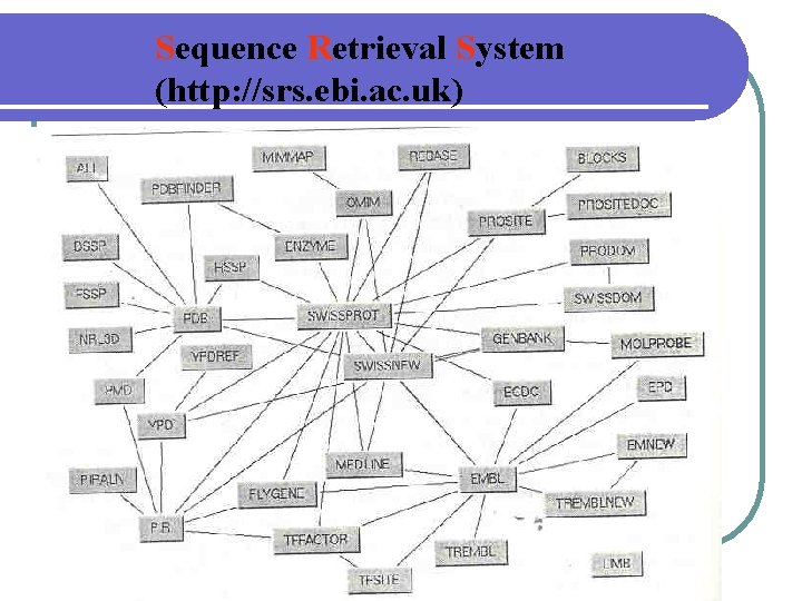 Sequence Retrieval System (http: //srs. ebi. ac. uk) 