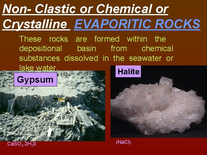 Non- Clastic or Chemical or Crystalline EVAPORITIC ROCKS These rocks are formed within the