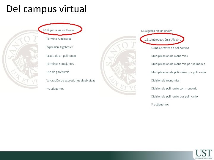 Del campus virtual 