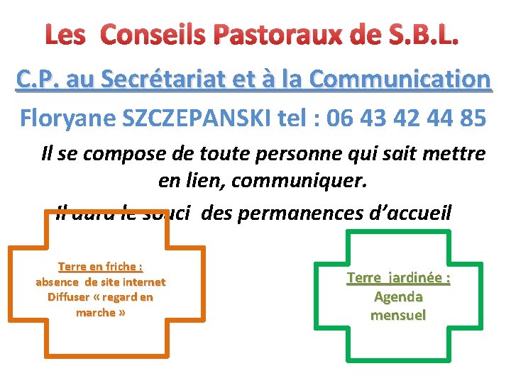 Les Conseils Pastoraux de S. B. L. C. P. au Secrétariat et à la
