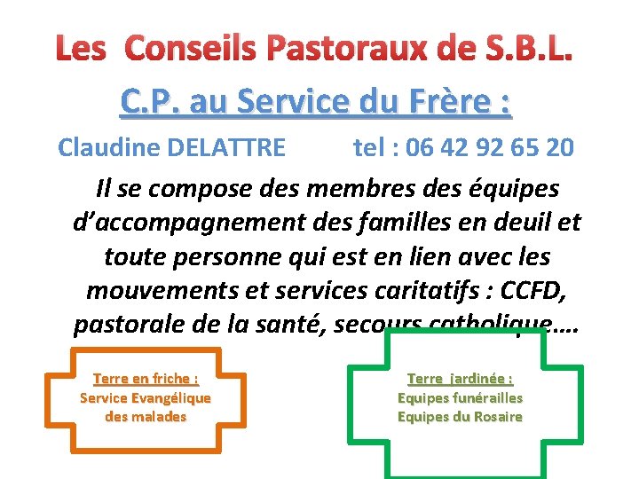 Les Conseils Pastoraux de S. B. L. C. P. au Service du Frère :