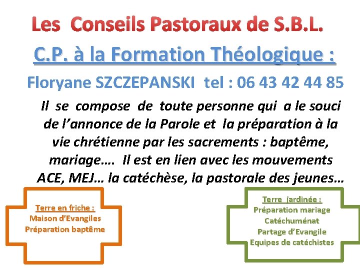 Les Conseils Pastoraux de S. B. L. C. P. à la Formation Théologique :