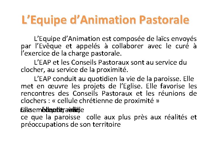 L’Equipe d’Animation Pastorale L’Equipe d’Animation est composée de laïcs envoyés par l’Evêque et appelés