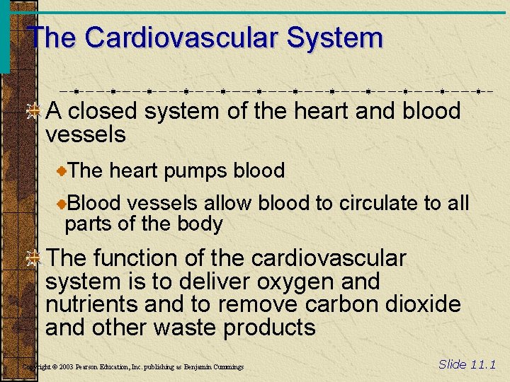 The Cardiovascular System A closed system of the heart and blood vessels The heart