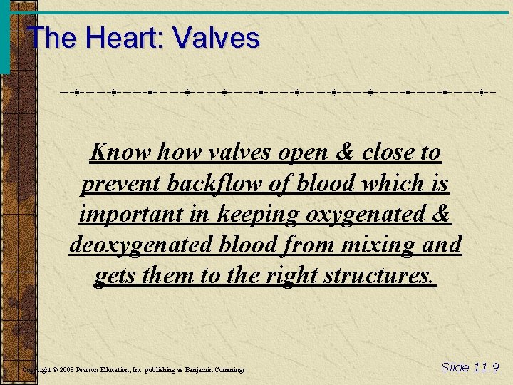 The Heart: Valves Know how valves open & close to prevent backflow of blood