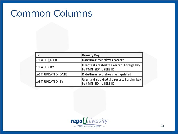 Common Columns ID CREATED_DATE CREATED_BY LAST_UPDATED_DATE LAST_UPDATED_BY Primary Key Date/time record was created User Common Columns ID CREATED_DATE CREATED_BY LAST_UPDATED_DATE LAST_UPDATED_BY Primary Key Date/time record was created User