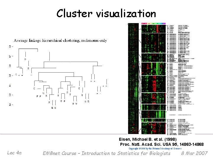 Cluster visualization Eisen, Michael B. et al. (1998) Proc. Natl. Acad. Sci. USA 95,