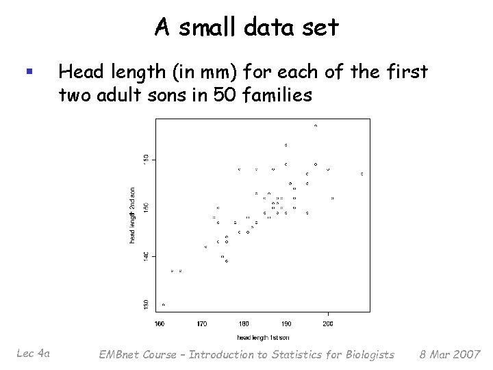 A small data set § Head length (in mm) for each of the first