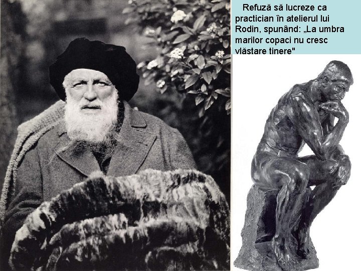 Refuză să lucreze ca practician în atelierul lui Rodin, spunând: „La umbra marilor copaci