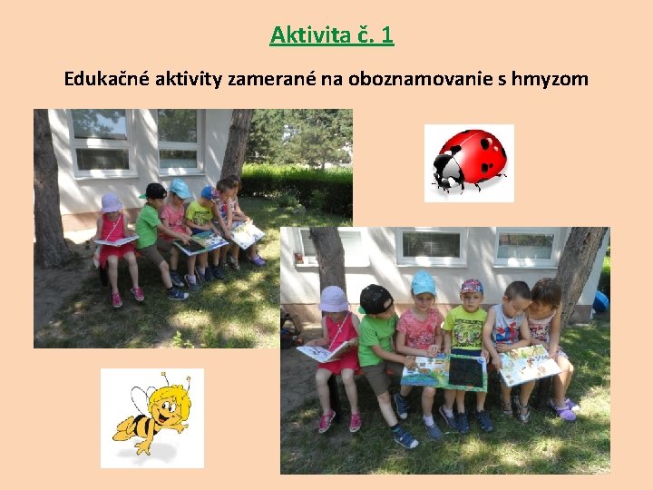  Aktivita č. 1 Edukačné aktivity zamerané na oboznamovanie s hmyzom 