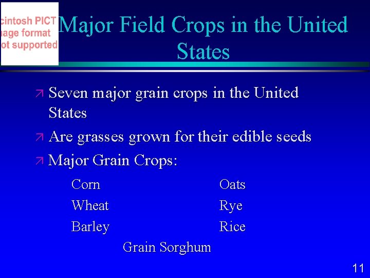Major Field Crops in the United States Seven major grain crops in the United