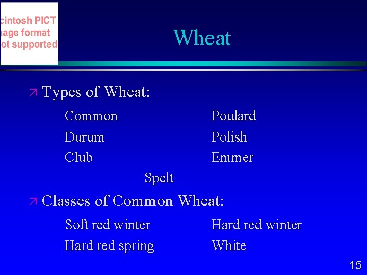 Wheat Types of Wheat: Common Durum Club Poulard Polish Emmer Spelt Classes of Common