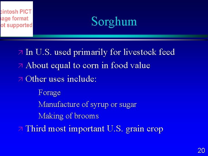 Sorghum In U. S. used primarily for livestock feed About equal to corn in
