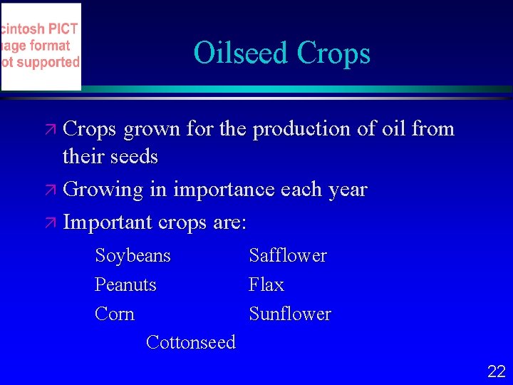 Oilseed Crops grown for the production of oil from their seeds Growing in importance