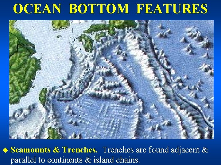 OCEAN BOTTOM FEATURES u Seamounts & Trenches are found adjacent & parallel to continents