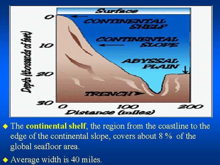 u The continental shelf, the region from the coastline to the edge of the