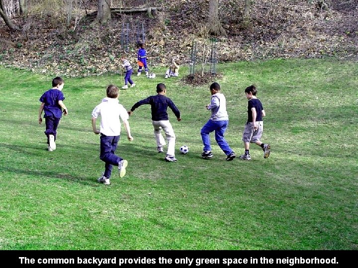 The common backyard provides the only green space in the neighborhood. 