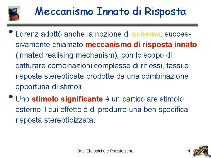 Meccanismo Innato di Risposta • Lorenz adottò anche la nozione di schema, successivamente chiamato