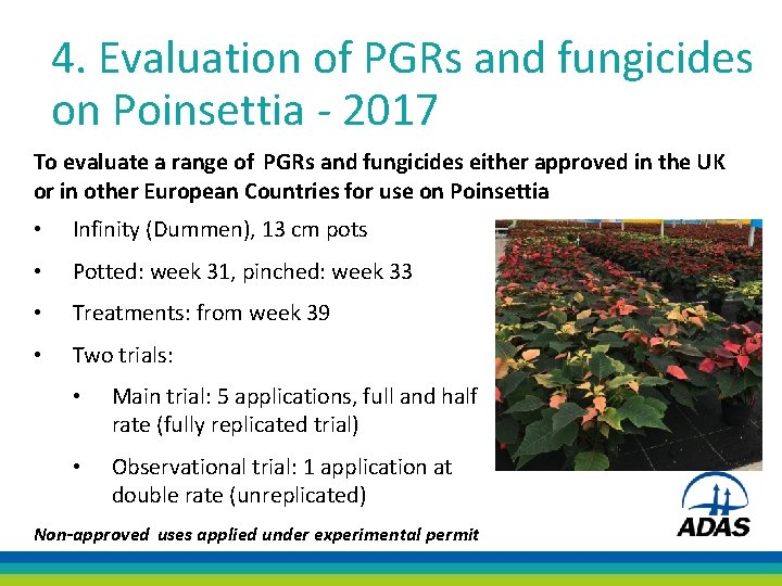 4. Evaluation of PGRs and fungicides on Poinsettia - 2017 To evaluate a range