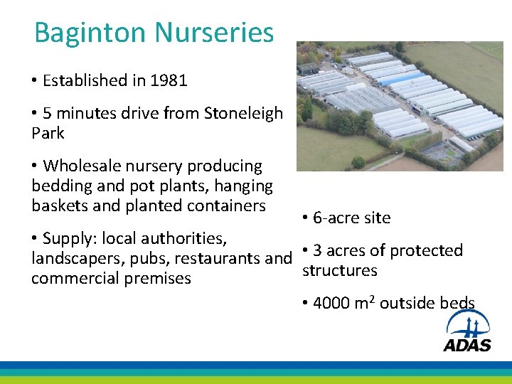 Baginton Nurseries • Established in 1981 • 5 minutes drive from Stoneleigh Park •