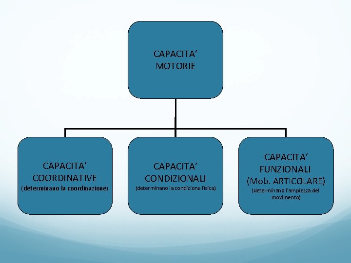 CAPACITA’ MOTORIE CAPACITA’ COORDINATIVE (determinano la coordinazione) CAPACITA’ CONDIZIONALI (determinano la condizione fisica) CAPACITA’