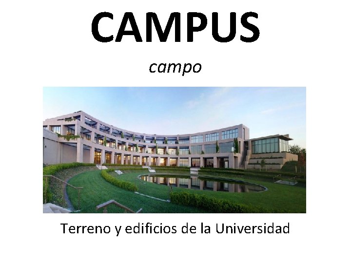 CAMPUS campo Terreno y edificios de la Universidad 