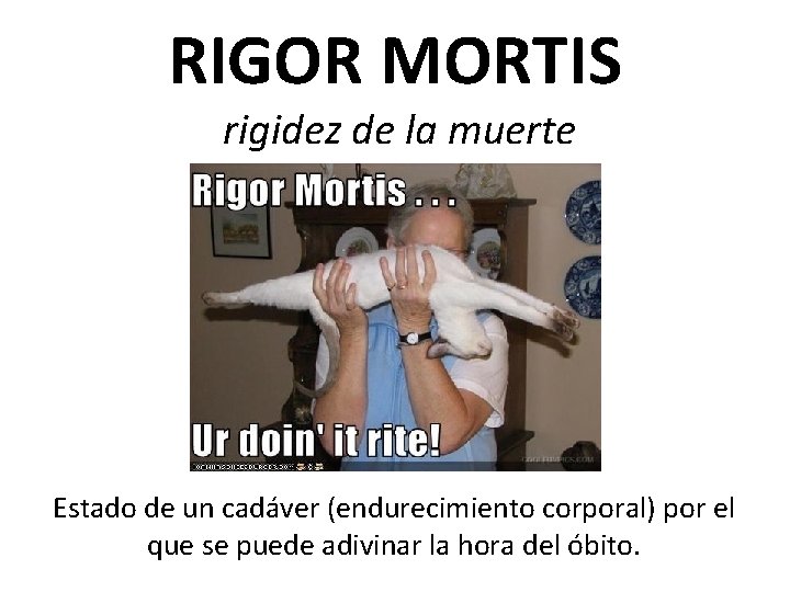 RIGOR MORTIS rigidez de la muerte Estado de un cadáver (endurecimiento corporal) por el