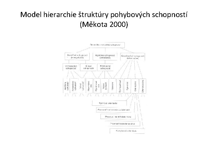 Model hierarchie štruktúry pohybových schopností (Měkota 2000) 