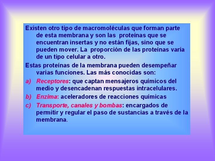 Existen otro tipo de macromoléculas que forman parte de esta membrana y son las