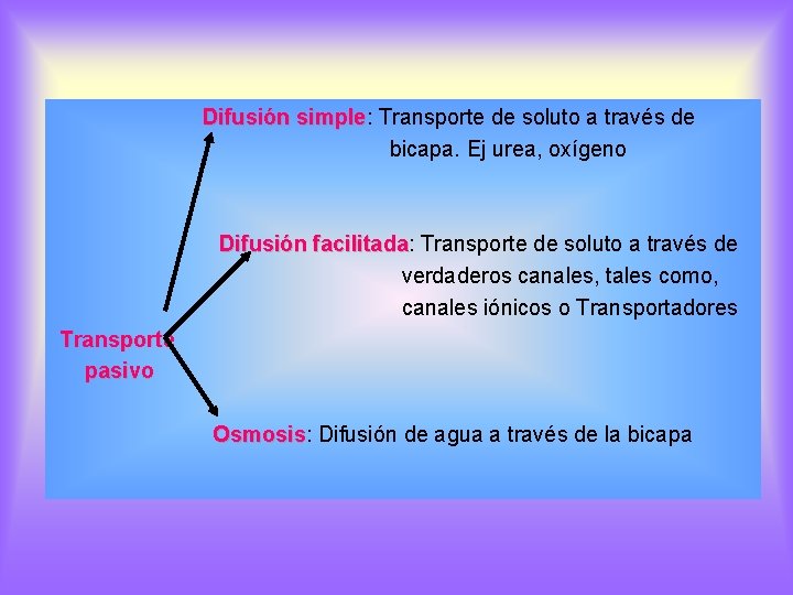 Difusión simple: simple Transporte de soluto a través de bicapa. Ej urea, oxígeno Difusión