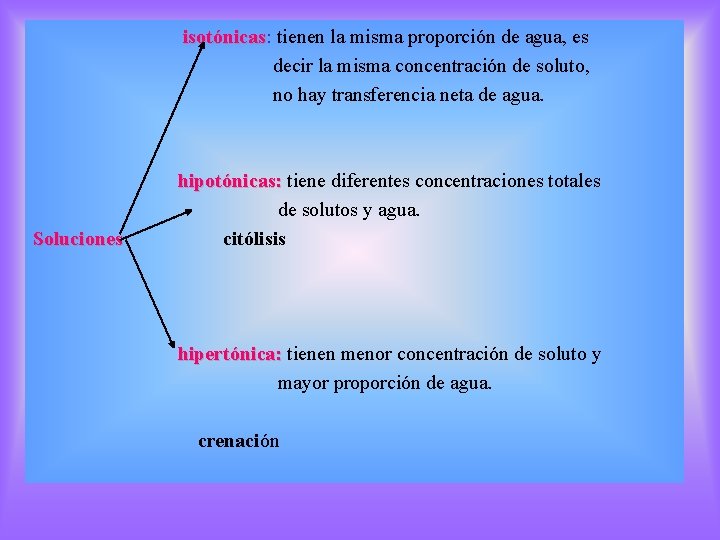 isotónicas: isotónicas tienen la misma proporción de agua, es decir la misma concentración de