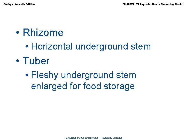 Biology, Seventh Edition CHAPTER 35 Reproduction in Flowering Plants • Rhizome • Horizontal underground