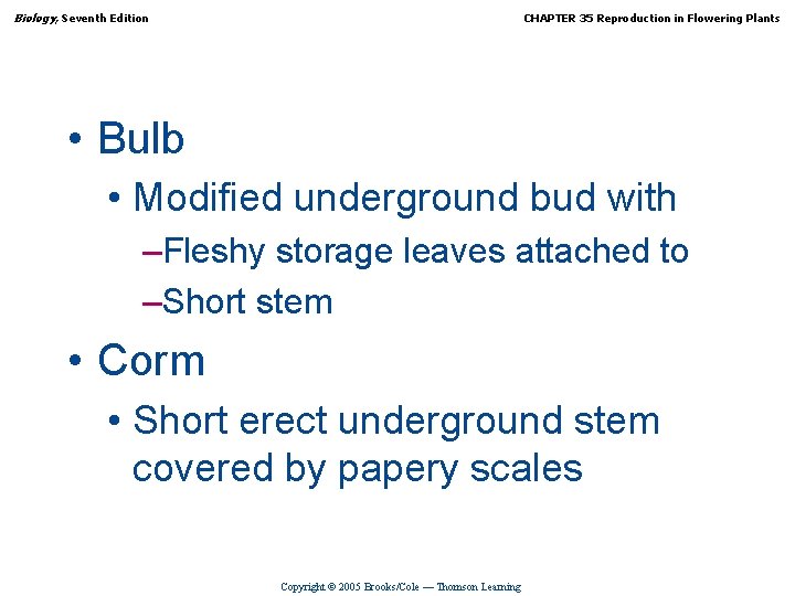 Biology, Seventh Edition CHAPTER 35 Reproduction in Flowering Plants • Bulb • Modified underground