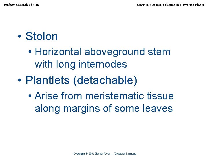 Biology, Seventh Edition CHAPTER 35 Reproduction in Flowering Plants • Stolon • Horizontal aboveground