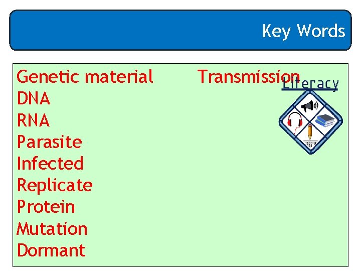 Key Words Genetic material DNA RNA Parasite Infected Replicate Protein Mutation Dormant Transmission 