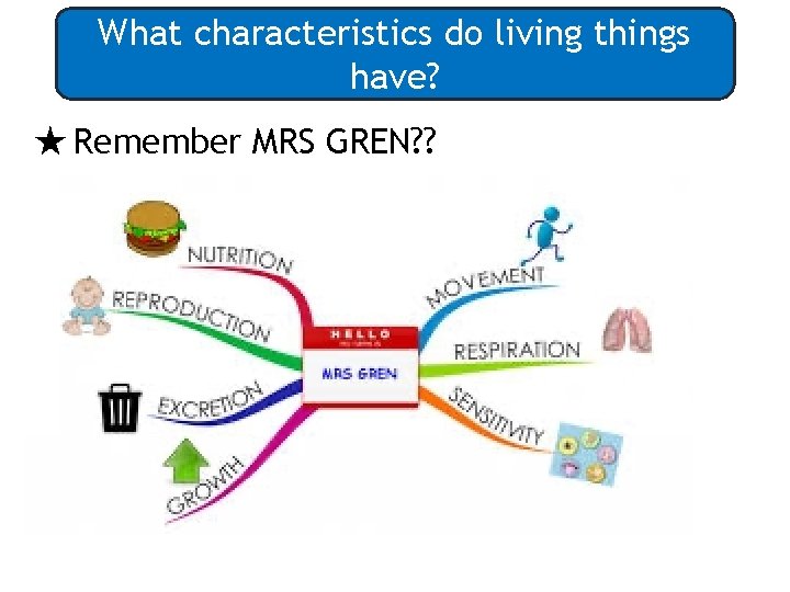 What characteristics do living things have? ★ Remember MRS GREN? ? 