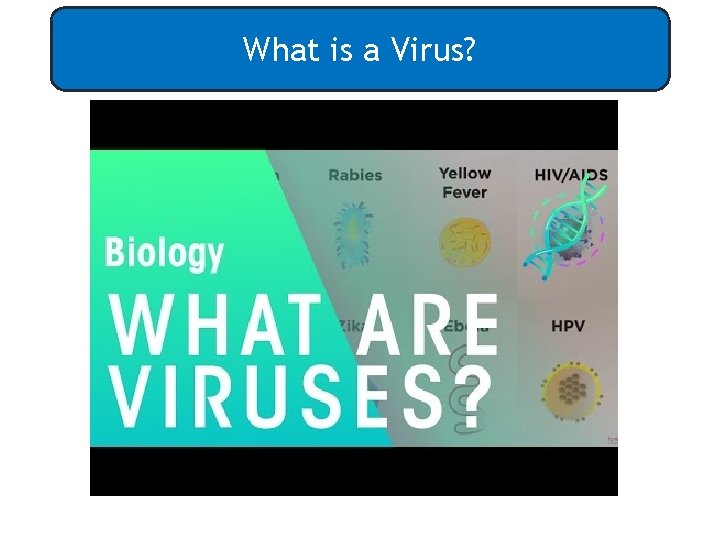 What is a Virus? 