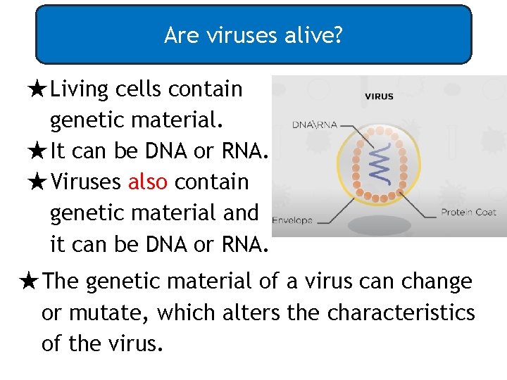 Are viruses alive? ★Living cells contain genetic material. ★It can be DNA or RNA.