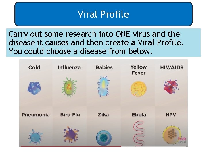 Viral Profile Carry out some research into ONE virus and the disease it causes