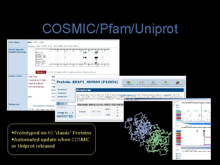 COSMIC/Pfam/Uniprot • Prototyped on 60 ‘classic’ Proteins • Automated update when COSMIC or Uniprot