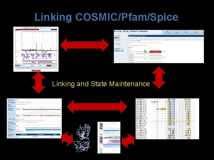 Linking COSMIC/Pfam/Spice Linking and State Maintenance 