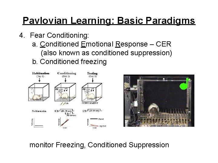 Pavlovian Learning: Basic Paradigms 4. Fear Conditioning: a. Conditioned Emotional Response – CER (also