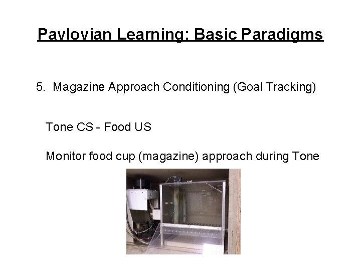 Pavlovian Learning: Basic Paradigms 5. Magazine Approach Conditioning (Goal Tracking) Tone CS - Food