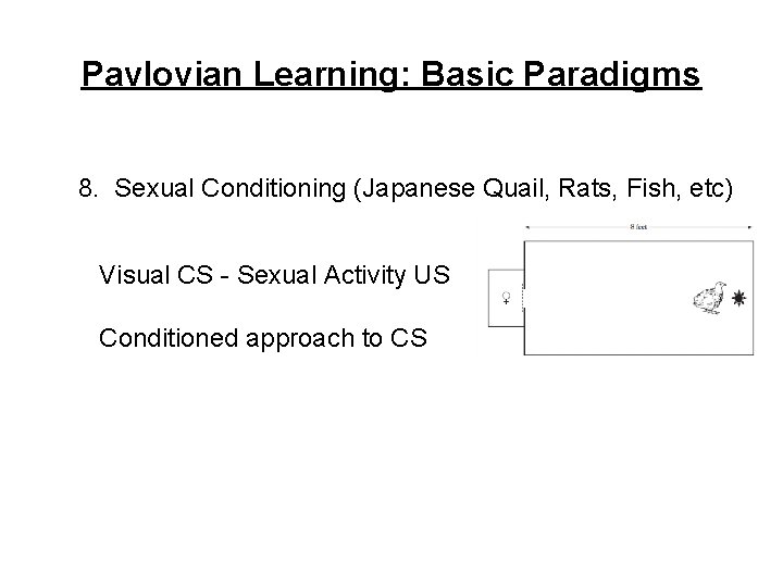 Pavlovian Learning: Basic Paradigms 8. Sexual Conditioning (Japanese Quail, Rats, Fish, etc) Visual CS